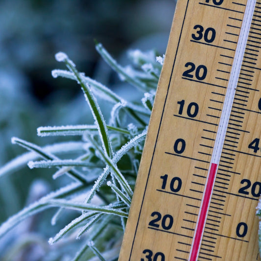 Struggling with Monomer Not Curing in Cold? Here’s the Solution!